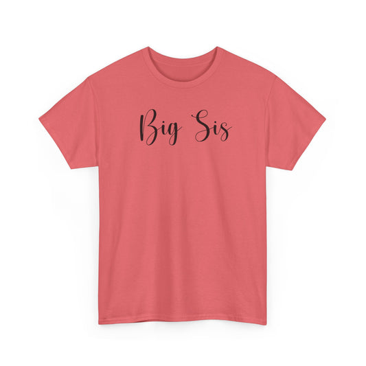 BIG SIS/BIGGER SIS Matching Tshirt 1